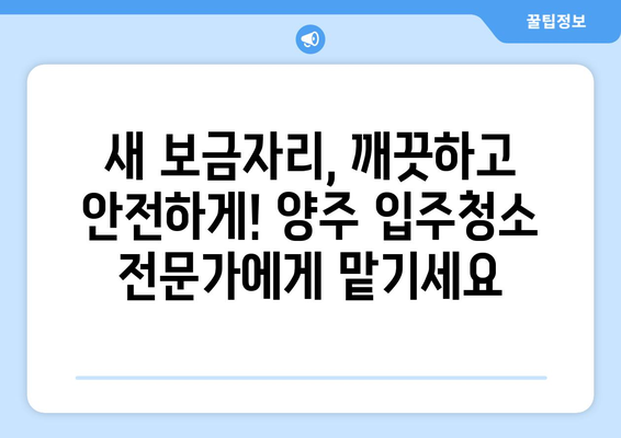 양주 입주청소| 깐깐한 직영 업체로 새 보금자리 완벽하게 만들기 | 양주, 입주청소, 직영, 깨끗한 공간, 새집증후군, 청소업체