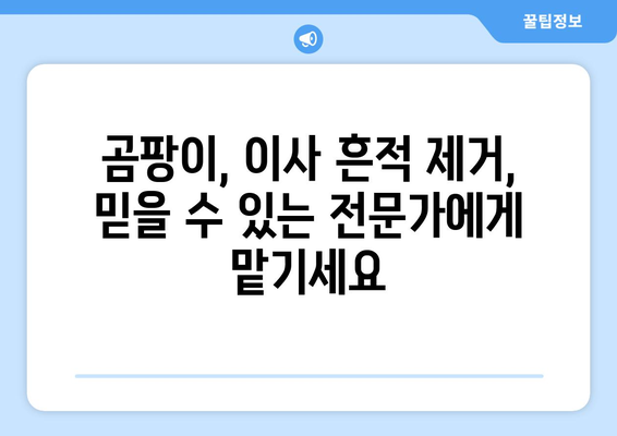 오산 입주 청소| 곰팡이, 이사 흔적 제거 전문 업체 추천 | 아파트 청소, 새집증후군, 입주 청소 팁