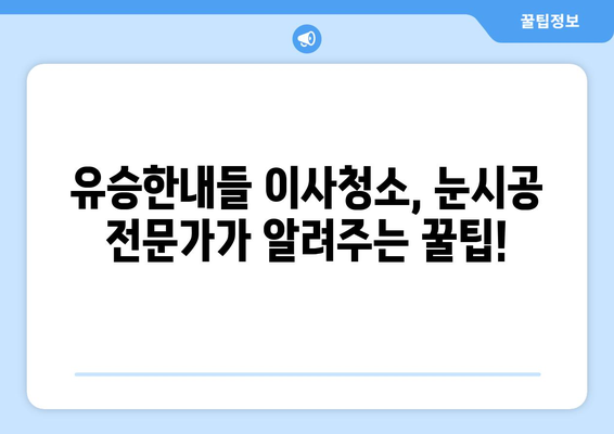 유승한내들 이사청소 현장 공개| 눈시공 전문가의 꿀팁 대방출 | 이사청소, 눈시공, 유승한내들, 입주청소, 청소팁