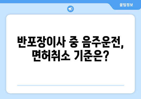 반포장이사 중 음주운전, 처벌 기준은? | 이사, 음주운전, 처벌, 벌금, 면허취소