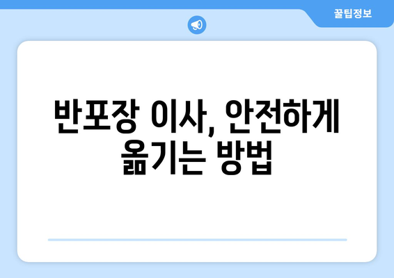 반포장 이사 허가 신청, 공공안전 준수 의무는? | 안전 가이드, 필수 확인 사항, 주의 사항