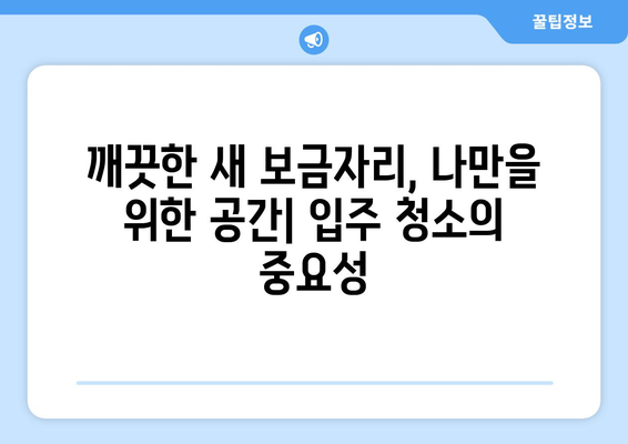 깔끔하고 신속한 입주 이사 청소, 전문 업체 추천 가이드 | 이사 청소, 입주 청소, 꼼꼼한 청소