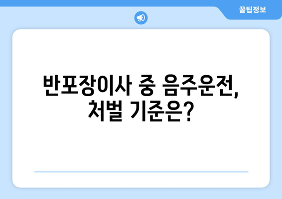 반포장이사 중 음주운전, 처벌 기준은? | 이사, 음주운전, 처벌, 벌금, 면허취소