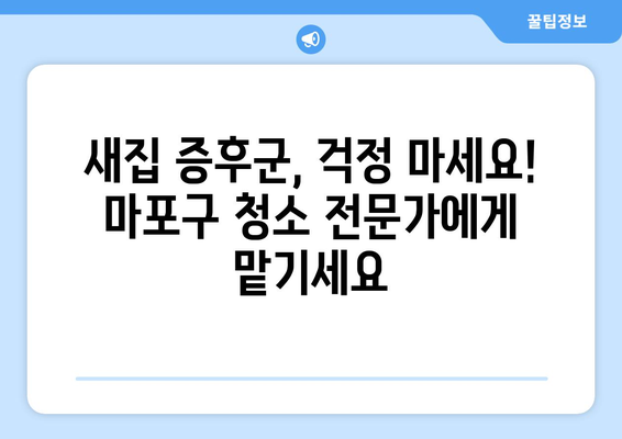 마포구 입주 청소| 인테리어 청소로 완벽한 새집 완성 | 마포구 입주청소, 인테리어 청소, 새집증후군, 청소업체 추천