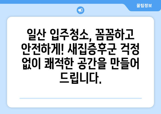 일산 입주 청소| 전문 업체의 완벽한 서비스, 지금 바로 만나보세요! | 입주청소, 새집증후군, 깨끗한 시작