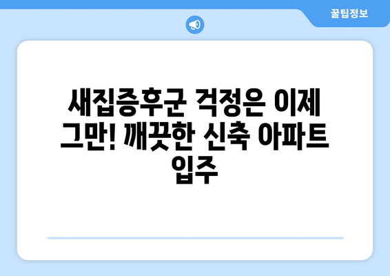 신축 입주 청소, 신속클린이 책임집니다! | 깔끔하고 신속한 입주 전문 업체, 신축 아파트 청소, 이사 청소