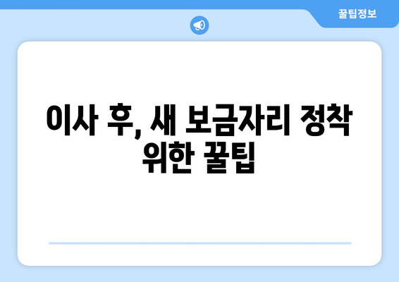 서울 원룸 이사, 궁금한 건 다 해결! 체크리스트와 비용 가이드 | 이사 준비, 비용 계산, 체크리스트, 원룸 이사 팁