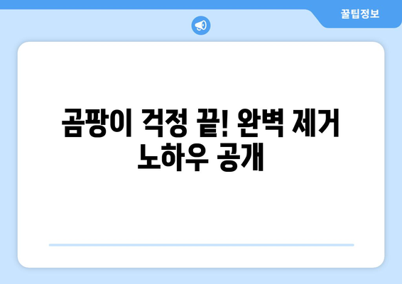 오산 아파트 이사 청소| 곰팡이 & 거주 흔적 제거 완벽 가이드 | 이사 청소, 곰팡이 제거, 거주 흔적 제거, 오산