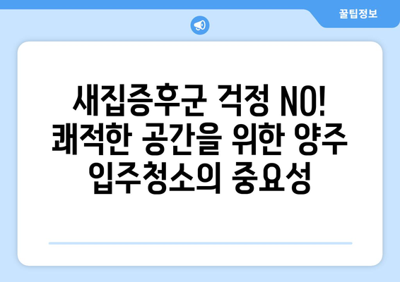 양주 입주청소| 깐깐한 직영 업체로 새 보금자리 완벽하게 만들기 | 양주, 입주청소, 직영, 깨끗한 공간, 새집증후군, 청소업체