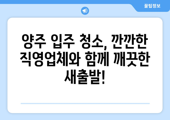 양주 입주 청소, 깐깐한 직영업체와 함께 깨끗한 새출발! | 양주 입주 청소, 직영업체, 꼼꼼한 청소, 새집 증후군, 깨끗한 공간