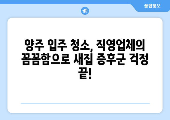 양주 입주 청소, 깐깐한 직영업체와 함께 깨끗한 새출발! | 양주 입주 청소, 직영업체, 꼼꼼한 청소, 새집 증후군, 깨끗한 공간