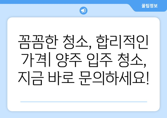 양주 입주 청소, 깐깐한 직영업체와 함께 깨끗한 새출발! | 양주 입주 청소, 직영업체, 꼼꼼한 청소, 새집 증후군, 깨끗한 공간