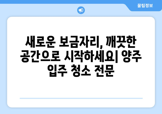 양주 입주 청소, 깐깐한 직영업체와 함께 깨끗한 새출발! | 양주 입주 청소, 직영업체, 꼼꼼한 청소, 새집 증후군, 깨끗한 공간